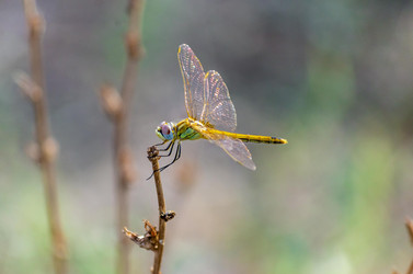 Similar image 22315479