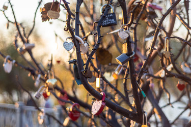 Similar image 22315485