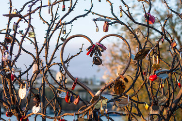 Similar image 22315487