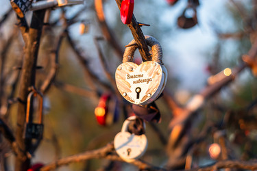 Similar image 22315488