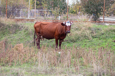 Similar image 22315493