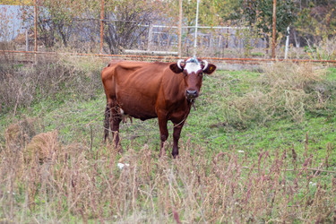 Similar image 22315494