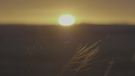 Similar image 22316073