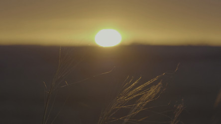 Similar image 22327896