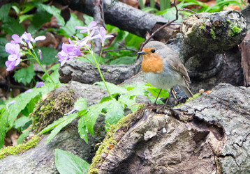 Similar image 22312031