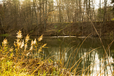 Similar image 22312032