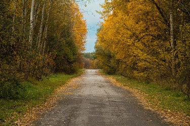 Similar image 22312034