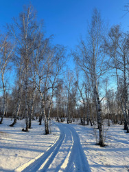 Similar image 22317310