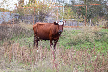 Similar image 22315495