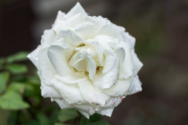 Similar image 22315497