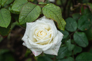 Similar image 22315499