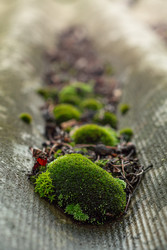 Similar image 22315500