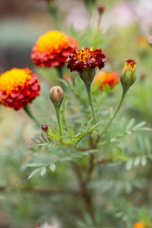 Similar image 22315501