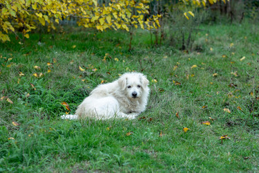 Similar image 22315503