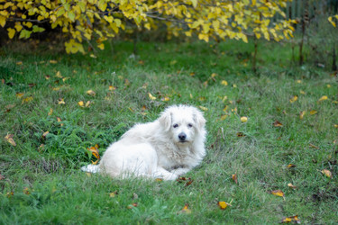 Similar image 22315504