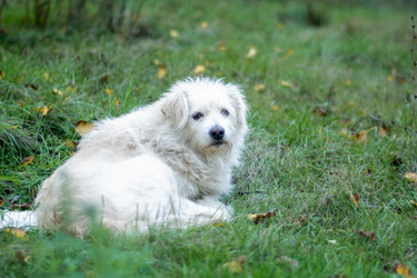 Similar image 22315505