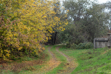 Similar image 22315506