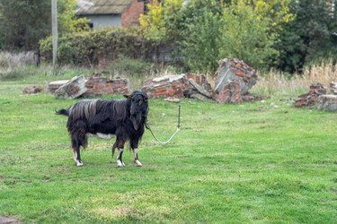 Similar image 22315507