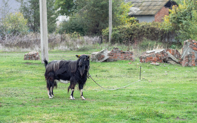 Similar image 22315508