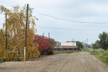 Similar image 22315513