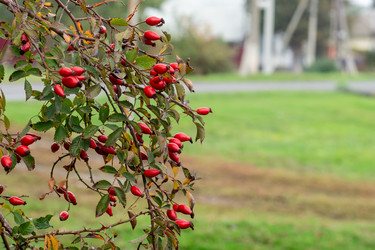 Similar image 22315521