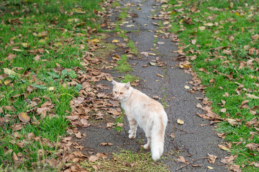 Similar image 22315522