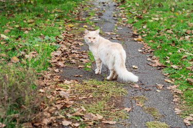 Similar image 22315523