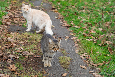 Similar image 22315524