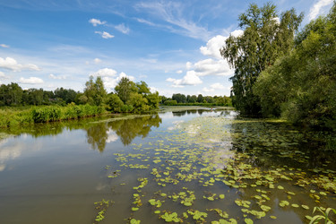 Similar image 22318454