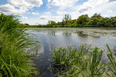 Similar image 22318456