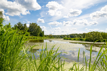 Similar image 22318457