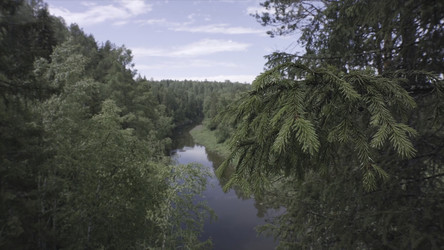 Similar image 22315845