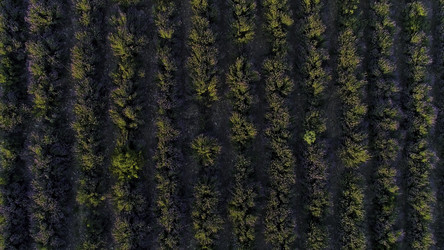 Similar image 22315851