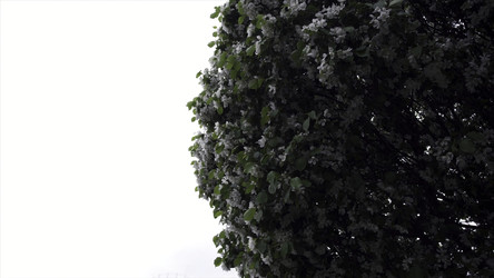 Similar image 22316078