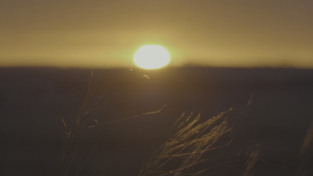 Similar image 22326089