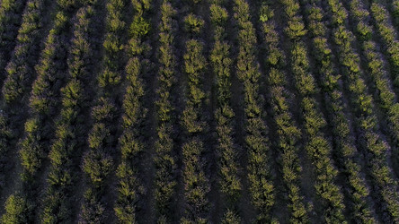 Similar image 22327902