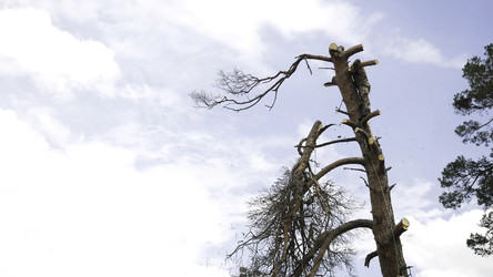 Similar image 22331080