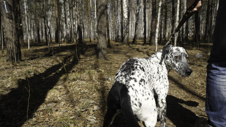 Similar image 22331086