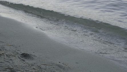 Similar image 22331335