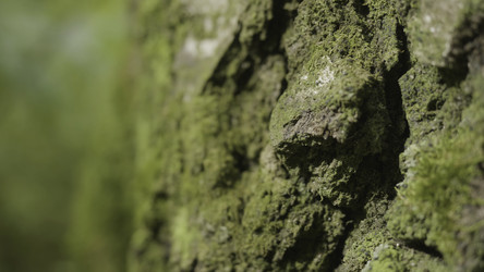 Similar image 22331336