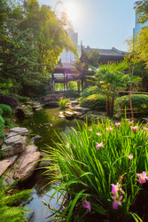 Similar image 22322972