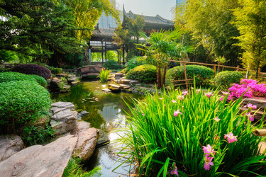 Similar image 22322973