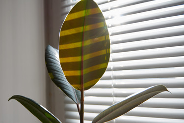 Similar image 22312067