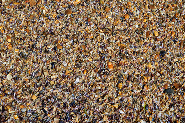 Similar image 22312334