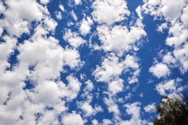 Similar image 22312339