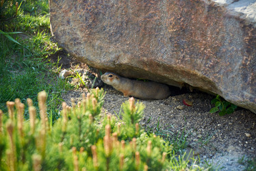 Similar image 22312344