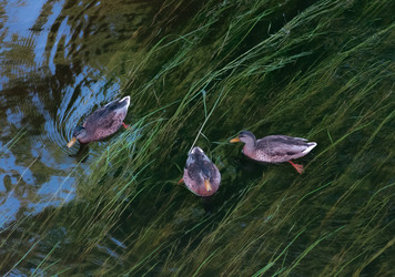 Similar image 22316334