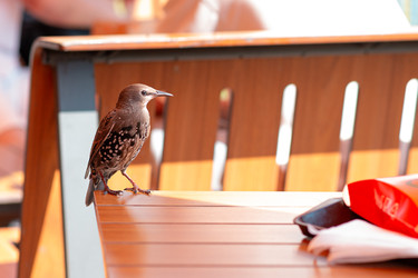 Similar image 22316335