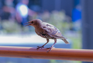 Similar image 22316336