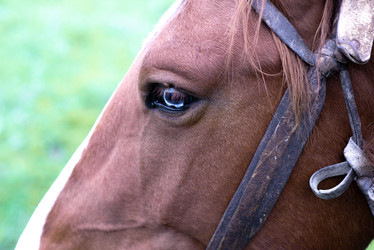 Similar image 22316337